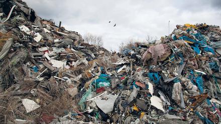 Abfallerbe. In Brandenburg existieren aktuell 120 illegale Deponien und Abfalllager. Viele stammen aus der Blütezeit der Müllmafia in den 2000er Jahren. Und manche Müllschieber schlagen immer wieder zu.