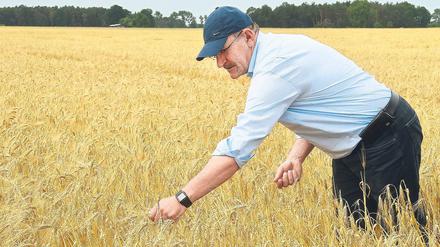Gut bestellt? Henrik Wendorff, Präsident des Brandenburger Landesbauernverbandes – hier beim Start der Getreideernte –, fordert ein Umdenken in Brüssel.