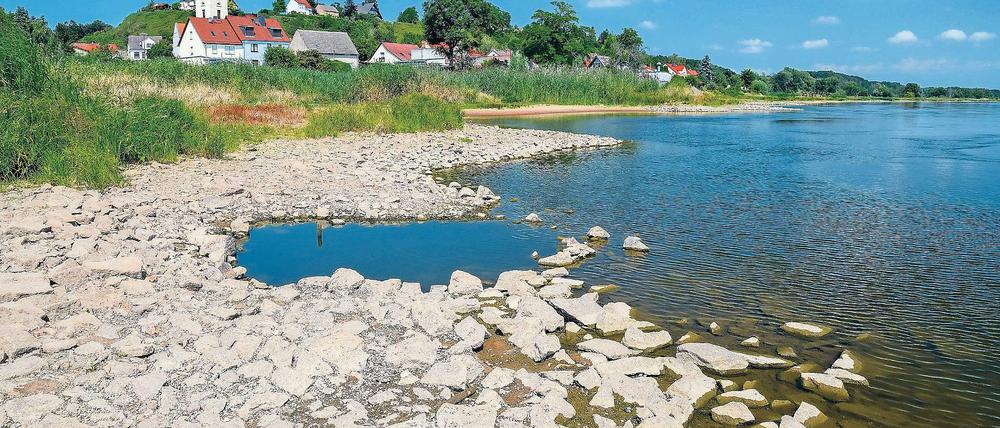 Das Wasser geht aus. Die Oder führt so wenig Wasser wie selten. Grund sind fehlende Niederschläge in Polen und Tschechien.