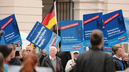 AfD-Anhänger demonstrieren 2015, im Jahr, als viele Flüchtlinge nach Deutschland kamen, vor dem Landtag. 