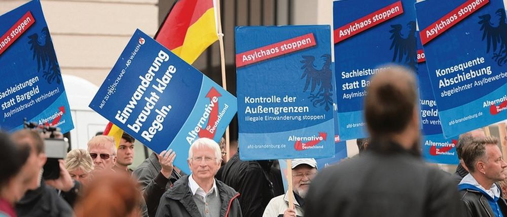 AfD-Anhänger demonstrieren 2015, im Jahr, als viele Flüchtlinge nach Deutschland kamen, vor dem Landtag. 