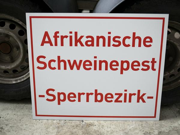 Die Afrikanische Schweinepest erreichte Brandenburg.