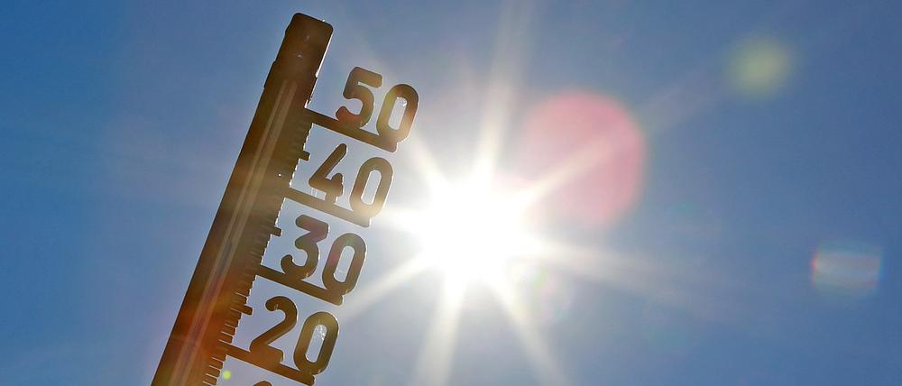 Die Zahl der Hitzetoten in Brandenburg hat 2018 einen neuen Höchststand erreicht.
