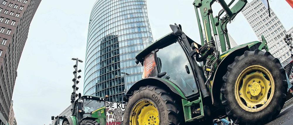 Etwa 30 Bauern aus Brandenburg werden in diesem Jahr bei der Tierschutz-Demo in Berlin erwartet.