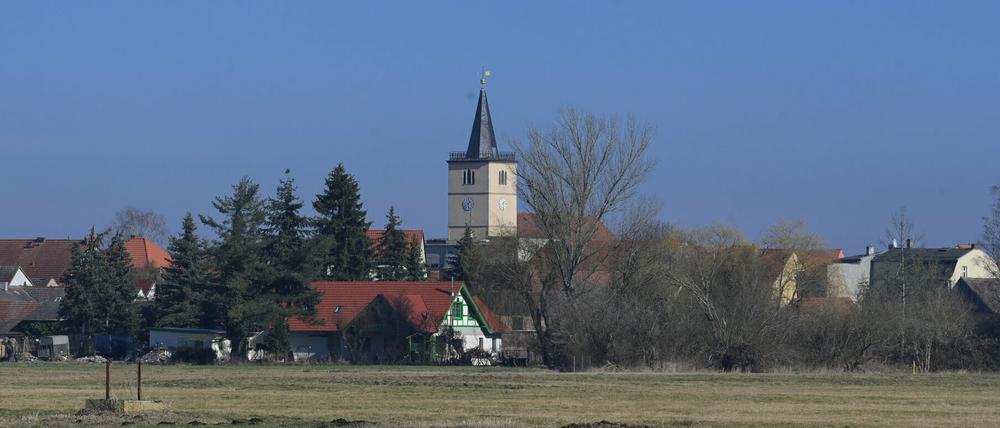 Beelitz wird 2022 Schauplatz der Landesgartenschau.