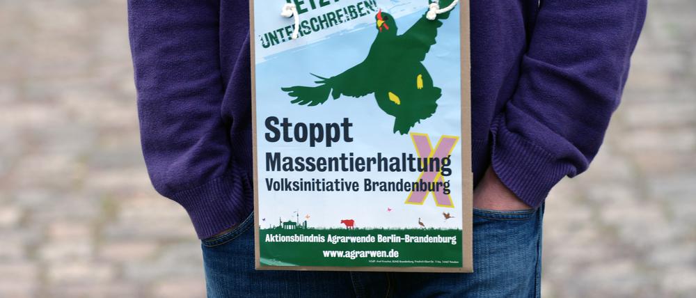 Über 103.000 Brandenburger unterstützten das Volksbegehren gegen Massentierhaltung.