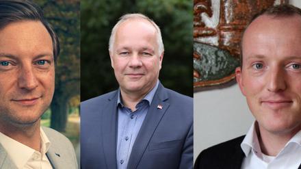 Jeff Staudacher, Hans-Peter Goetz und Martin Lebrenz wollen die Brandenburger FDP in die Landtagswahl führen.