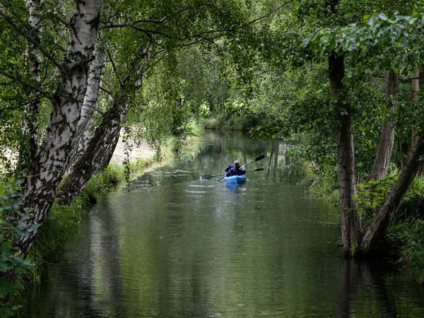 Auf der Spree sind am 9. Juli 2020 (bei regnerischem Wetter) Paddler unterwegs. Der Spreewald gehört mit zu den beliebtesten Regionen für Wasserwanderungen im Berliner Umland. 