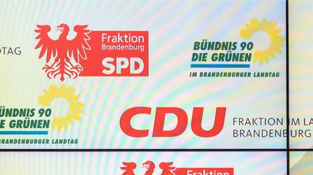 Die meisten Parteien haben in Brandenburg Mitglieder verloren - die Grünen gewinnen hinzu. 