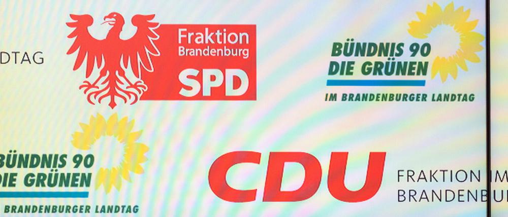 Die meisten Parteien haben in Brandenburg Mitglieder verloren - die Grünen gewinnen hinzu. 