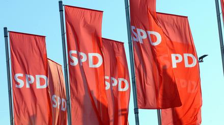 Die SPD ist die mitgliederstärkste Partei in Brandenburg.