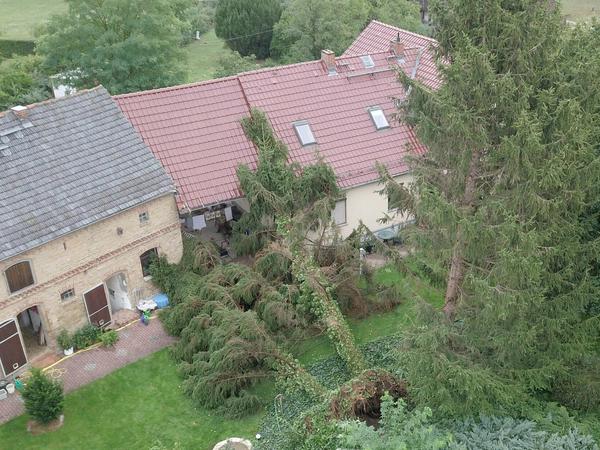 Entwurzelte Bäume liegen auf einem Grundstück in Klaistow. In dem brandenburgischen Dorf sei es nach Angaben des DWD schon am frühen Abend extrem stürmisch gewesen.