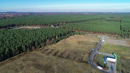In dem riesigen Waldgebiet rechts der Autobahn plant Tesla den Bau einer Gigafactory. Links ist die Autobahn 10 (Berliner Ring) zu sehen.
