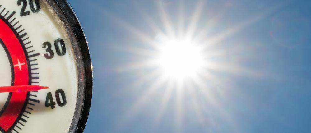 Im Gegenlicht der Nachmittagssonne zeigt am 4. Juli ein Thermometer 37 Grad Celsius in einem Garten in Sieversdorf (Brandenburg) an.