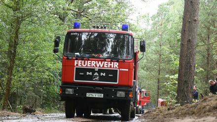 Die erwarteten vereinzelten Regenschauer werden die akute Waldbrandgefahr in Brandenburg nicht mindern.