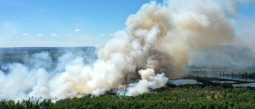 Mehr als 140 Feuerwehrleute kämpften am Freitagabend gegen den Waldbrand.