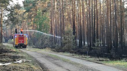 Feuerwehrleute stehen auf einem Einsatzfahrzeug und spritzen Wasser auf Glutnester in einem Wald bei Jüterbog. 