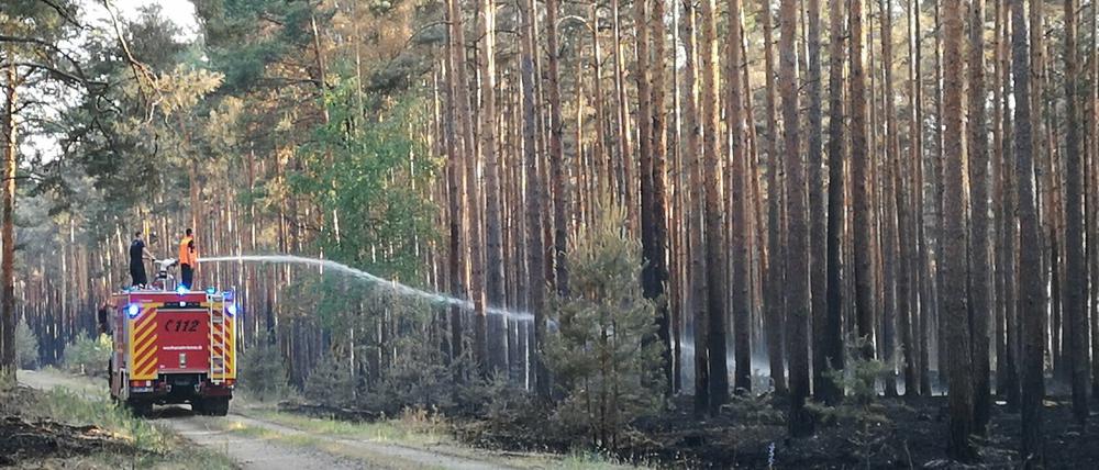 Feuerwehrleute stehen auf einem Einsatzfahrzeug und spritzen Wasser auf Glutnester in einem Wald bei Jüterbog. 