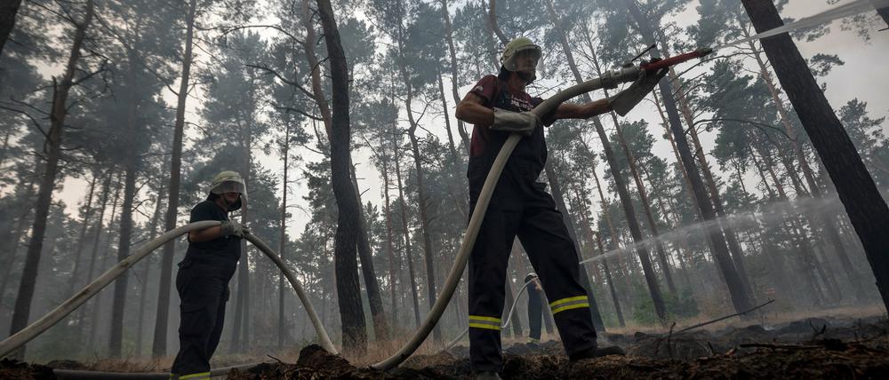 Feuerwehrmänner bekämpfen einen Waldbrand bei Treuenbrietzen. Rund 600 Einsatzkräfte konnten den großen Waldbrand im Südwesten Brandenburgs am Freitagmorgen stark eindämmen. Drei Dörfer in der Region wurden evakuiert. Es brannte eine Fläche so groß wie 400 Fußballfelder. 