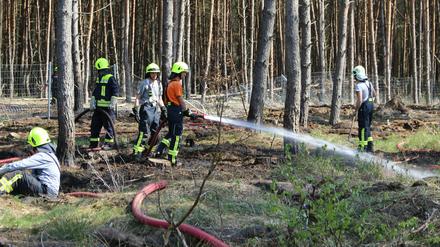 Feuerwehrleute bei einem Einsatz am Dienstag bei Dreetz nahe Neustadt/ Dosse im Landkreis Ostprignitz-Ruppin.