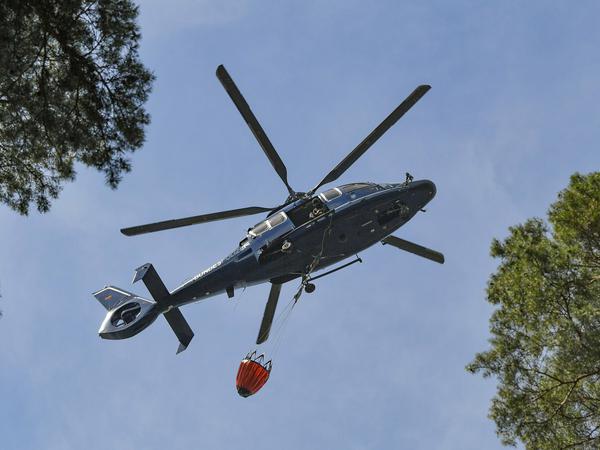 Ein Hubschrauber der Bundespolizei mit einem Transportbehälter voller Löschwasser über dem Wald in der Lieberoser Heide.