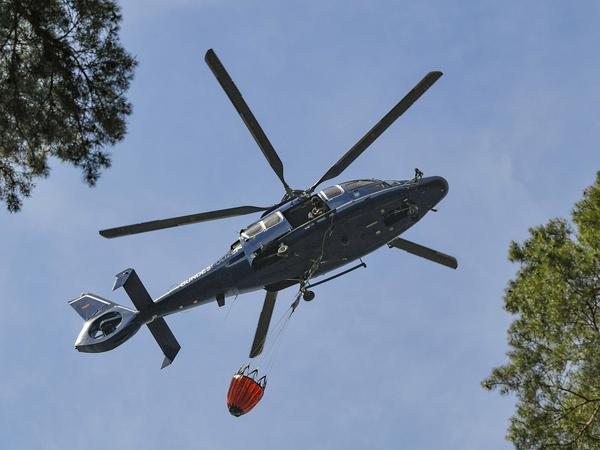 Ein Hubschrauber der Bundespolizei mit einem Transportbehälter voller Löschwasser fliegt über den Wald in der Lieberoser Heide.