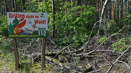 Trockenheit, Hitze und geringe Luftfeuchtigkeit sorgen in Brandenburg für hohe Waldbrandgefahr.