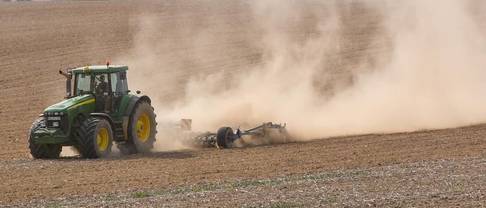 Spätsommer 2018: Ein Landwirt bearbeitet mit Traktor und Grubber den trocken Boden auf einem Acker und wirbelt dabei viel Staub auf. 