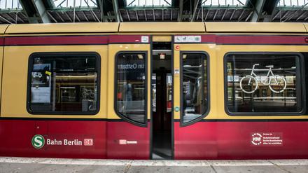 Mindestens 1308 neue S-Bahn-Wagen sollen angeschafft werden.