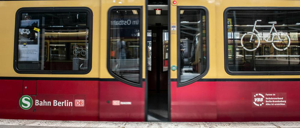 Mindestens 1308 neue S-Bahn-Wagen sollen angeschafft werden.
