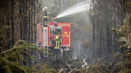 Bei den verheerenden Waldbränden bei Jüterbog entstanden massive Schäden.