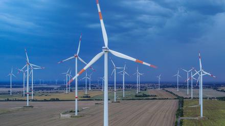 Der Bau von Windkraftanlagen in Brandenburg sorgt immer wieder für Streit.