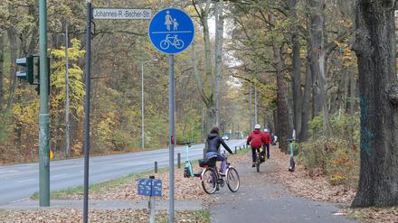 Die Verkehrssicherheit soll für Radfahrer in der Potsdamer Heinrich-Mann-Allee verbessert werden.