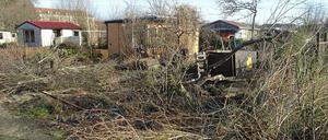 Ein Bild der Zerstörung bietet sich in der Klaingartensparte Angergrund mittlerweile. 