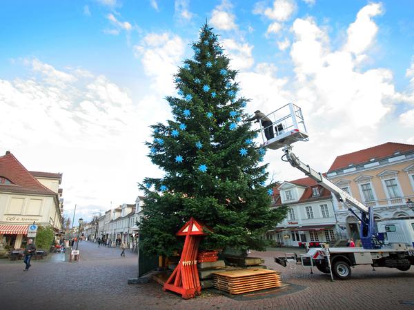 Der erste Weihnachtsbaum am Luisenplatz in Potsdam steht auch schon.