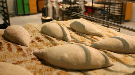 Bäckerei Fahland beschäftigt 135 Mitarbeiter, von denen sieben aus Afghanisatn, Kenia und Syrien stammen.
