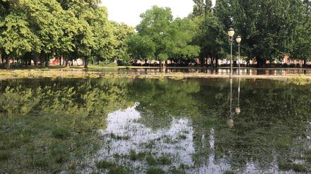 Der Bassinplatz in Potsdam war am Donnerstag teilweise überschwemmt.