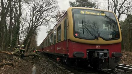 Der S-Bahn-Verkehr wurde am Montagmittag unterbrochen: Ein Zug der Linie S7 war mit einem Ast kollidiert.