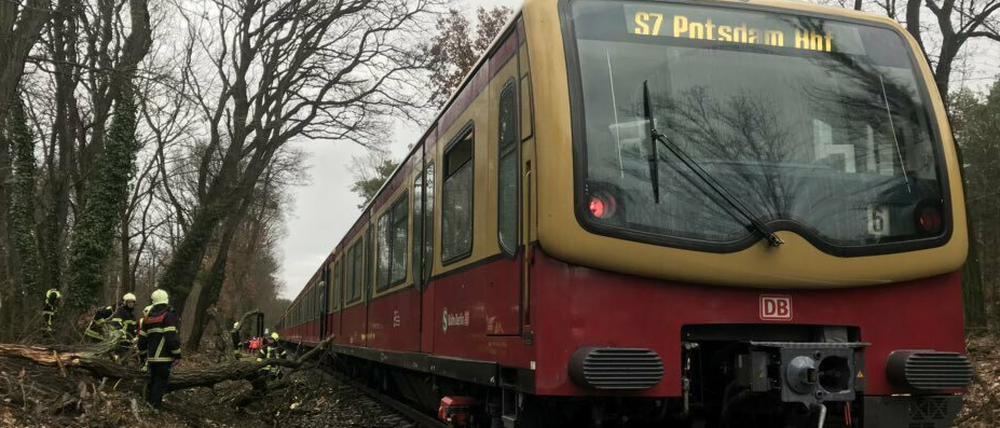 Der S-Bahn-Verkehr wurde am Montagmittag unterbrochen: Ein Zug der Linie S7 war mit einem Ast kollidiert.