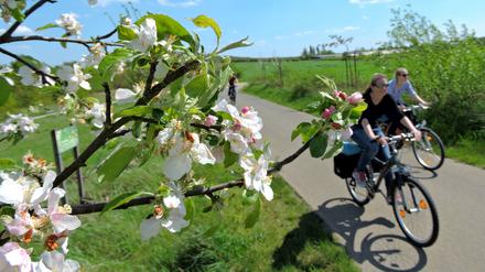 Ab 2021 ganz einfach: Mit dem Fahrrad von Potsdam nach Werder (Havel).