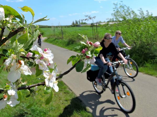 Ab 2021 ganz einfach: Mit dem Fahrrad von Potsdam nach Werder (Havel).