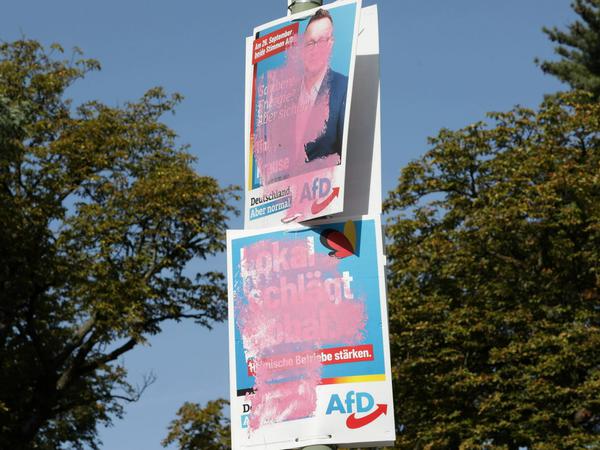 Viele Plakate der AfD wurden beschmiert.