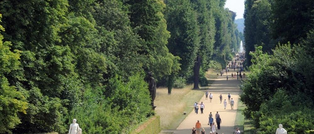 Lustwandeln im Park Sanssouci. Jetzt sollen die Bürger entscheiden, ob der Spaß kostenlos bleibt.