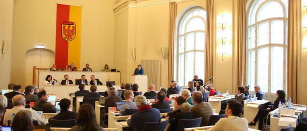 Die Stadtverordnetenversammlung im Potsdamer Rathaus.