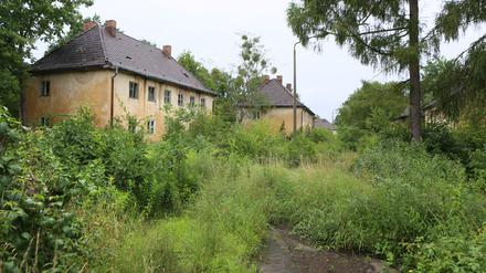 Wie wird Potsdams neuer Stadtteil Krampnitz aussehen?
