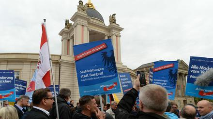 Anhänger der AfD demonstrierten im September vor dem Landtag in Potsdam. Die Rechtspopulisten bekommen nun Zulauf.