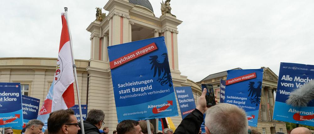 Anhänger der AfD demonstrierten im September vor dem Landtag in Potsdam. Die Rechtspopulisten bekommen nun Zulauf.