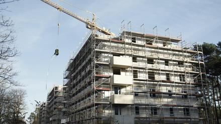 Potsdam boomt: In der Waldstadt werden derzeit Pro-Potsdam-Wohnungen gebaut.