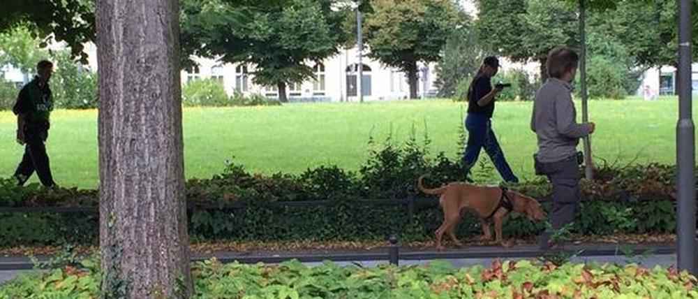 Mantrailer-Hunde suchen weiter nach Elias aus Potsdam, der seit drei Wochen vermisst wird.