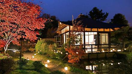 Im Bonsaigarten Ferch wird das Japanische Lichterfest gefeiert.